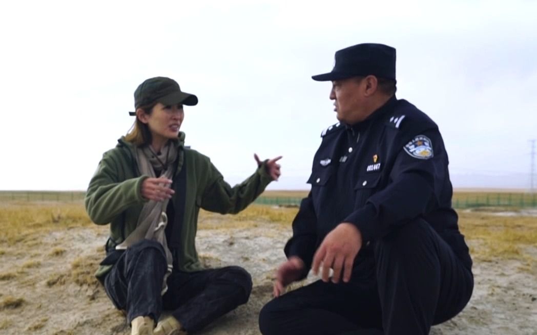 卷席筒全集在线观看,卷席筒全集在线观看免费