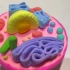 生物作业—粘土 动物细胞模型
