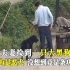 四川夫妻捡到一只大黑狗，本以为是只恶犬，没想到竟是一条功勋犬