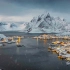 【4K/8K】这里是北极——隐藏在冰冻苔原下的自然与生机