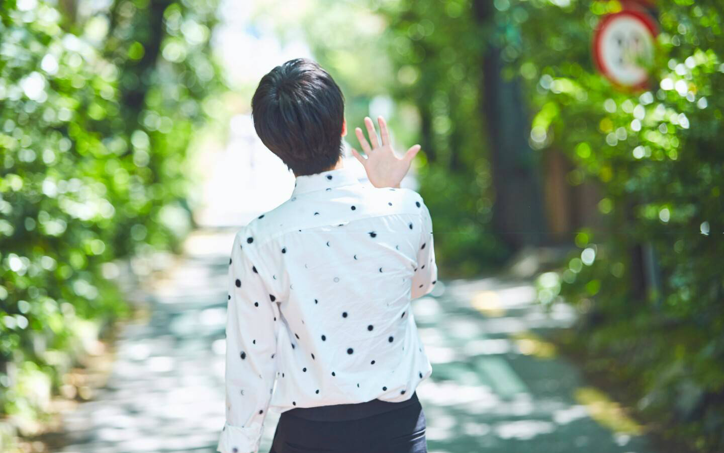 【杨洋】&背影