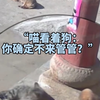 猫猫只对狗妈妈钟情，奈何小狗崽和妈妈太像，猫猫直接认错了狗