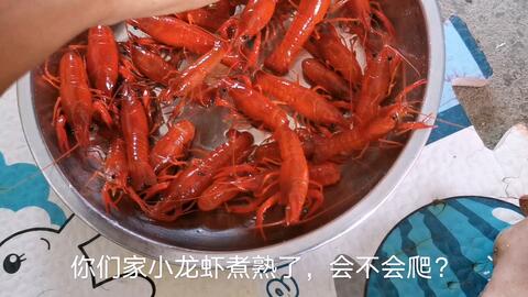 9e1db93e3b2902afabf21638ea605a3ab70bc023.jpg@480w_270h_1c