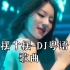 十摆十摆-DJ粤语歌曲