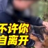 退役缉毒犬回望警务室后悄悄躲进山中