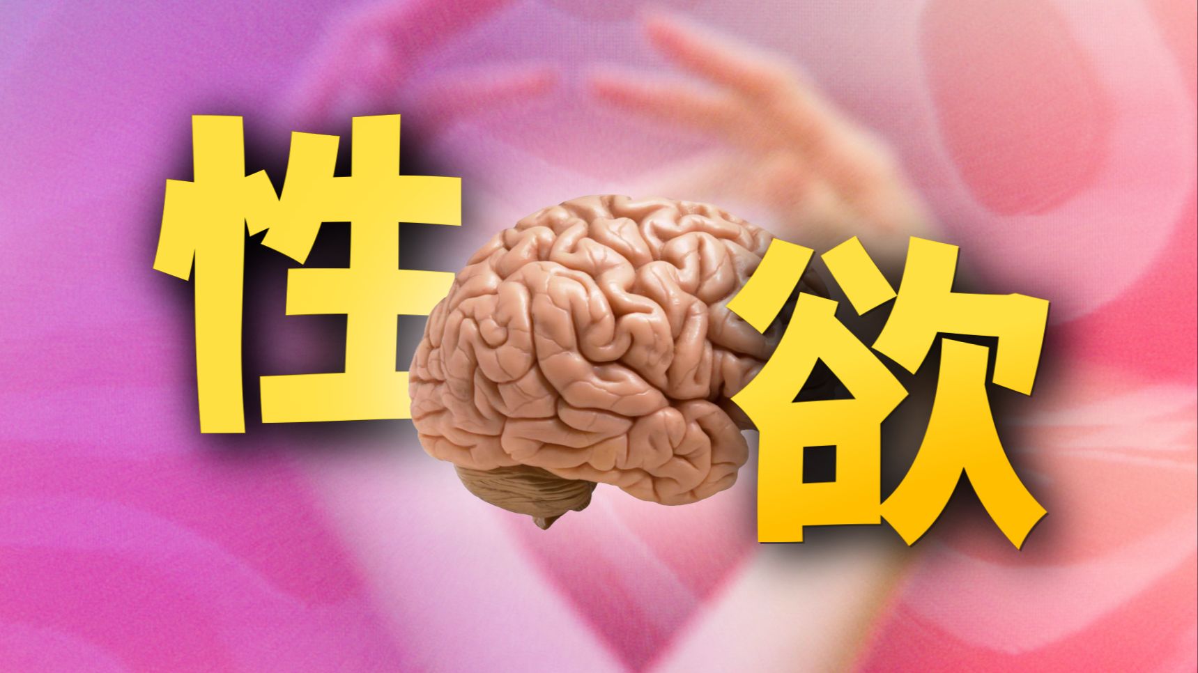 脑子全是「性幻想」，反映了什么精神状态？不管是否恋爱，都该了解的性心理学