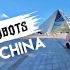 机器人占领了世界？欢迎来到未来的深圳！