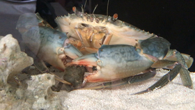 9e56ffd8478c80014df9c5dfdd111597ef6ad345.jpg@280w_158h_1c_100q.jpg