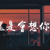 苏贝贝 - 还是会想你【動態歌詞/Lyrics Video