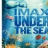 【海底世界‐Imax.Under.The.Sea.2009】〖中英双语〗