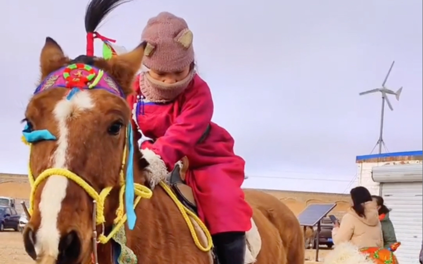 八岁小女孩勇夺蒙古马5000米赛马亚军！真的太帅了