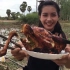 柬埔寨妹子在荷塘边烤一整只鸡，看饿了...