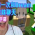 【Dream SMP/Tommy/中文字幕】最后一次和Dream的妹妹聊天
