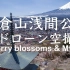 航拍 新仓山浅间公园 樱花 富士山 Cherry blossoms and Mt'Fuji at Chureito Pa