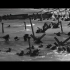 【二战经典】诺曼底登陆         盟军陆海空全面进攻       登陆战场面真实   宏大   超震撼      