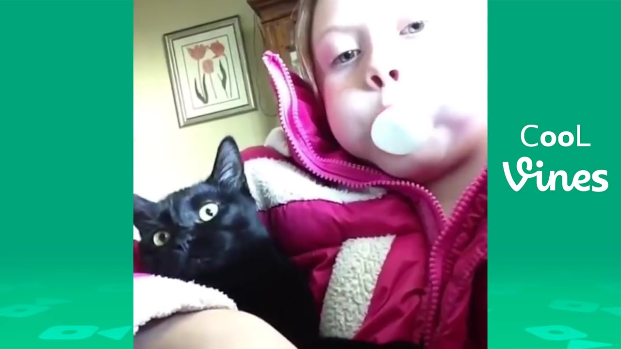 村长解说不要笑挑战