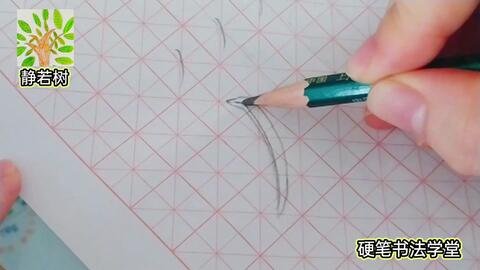 成语血肉横什么_血肉之花(4)