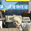 新手宠物托运，这些问题一定要问清