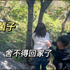 山里不仅风景美，菌子还多种多样，可惜满满一树蘑菇没捡