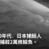 即便动保群体严厉抗议 日本仍恢复捕鲸：到底意味着什么？？ － BBC News 中文