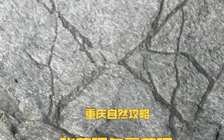 重庆自然攻略 张节理和剪节理