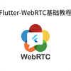 19Flutter-WebRTC-数据通道-发送通道