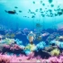 这水下场景谁与争锋？幻塔周年庆海底世界2分钟实机画面