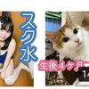 日本小妹妹穿着泳衣和丝袜撸猫