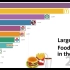 Largest fast food chain in the world