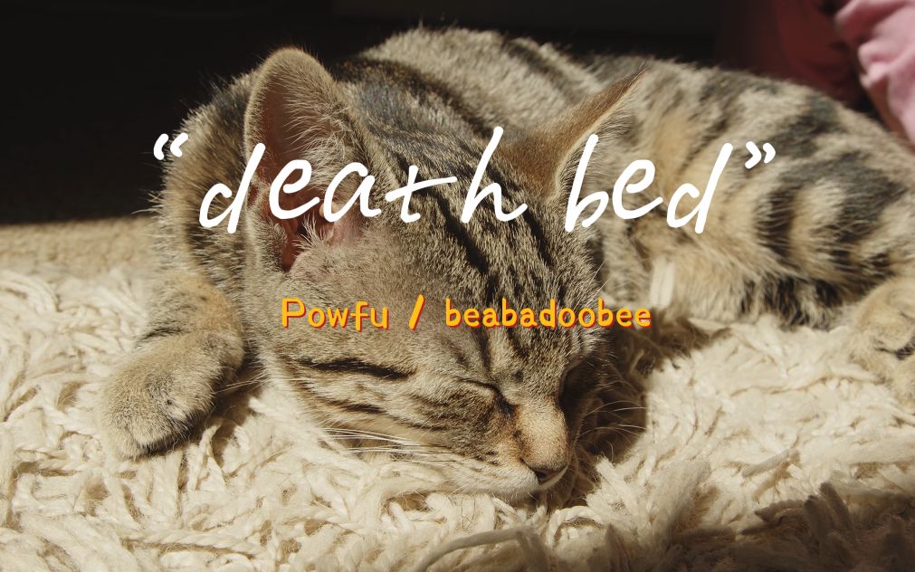 “既可爱又温柔的歌，很难不爱啊！！”—《death bed》