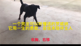 9f3ac58b39deeb414645f39dc9c654bc4ed385ba.jpg@280w_158h_1c_100q.jpg