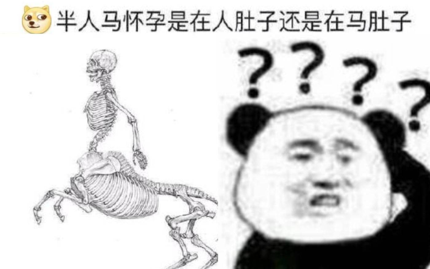 半人马怀孕是在人肚子还是在马肚子Дд网络上那些爆笑的沙雕图99ω