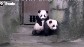 七七是个憨憨呀 9f54919b92bea4cd0945e92cb56496feda4af260.jpg@280w_158h_1c_100q.jpg