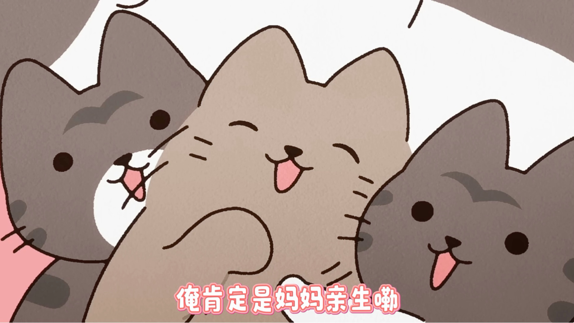 从前有只河南猫