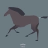 马术学习：马的各种步态 动画模拟~对于每一种步法的名称解释，放在弹幕里了