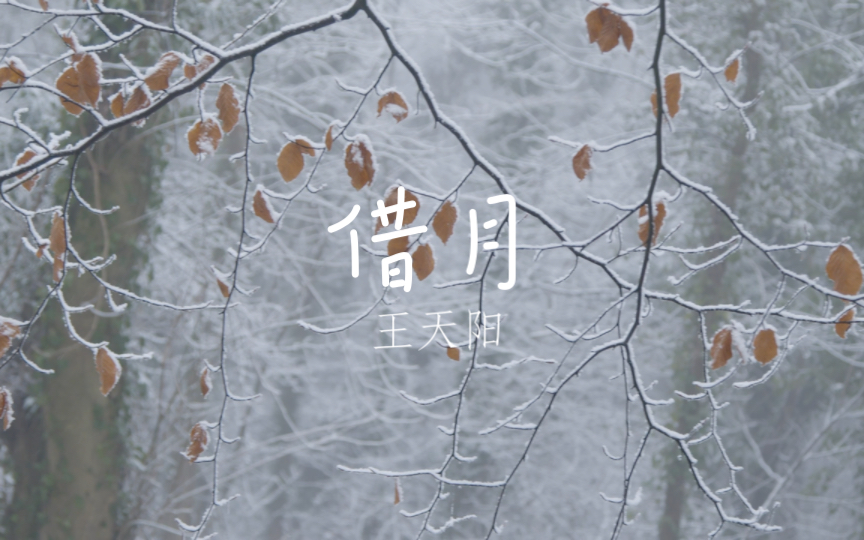 "饮过了风霜,把思念唱一唱|借月-王天阳