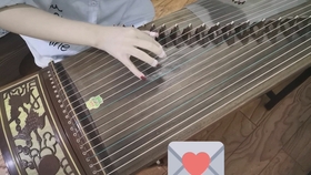 古筝每日必弹曲谱_弹古筝图片(4)