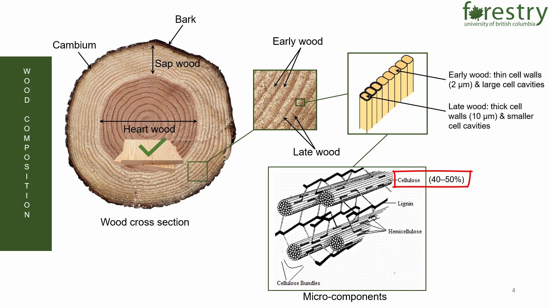 Applied Wood Mechanics Lecture 1_哔哩哔哩_bilibili
