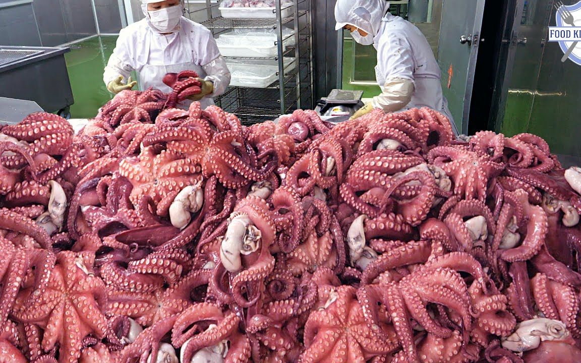 【韩国】海鲜工厂一次生产2000公斤半煮章鱼