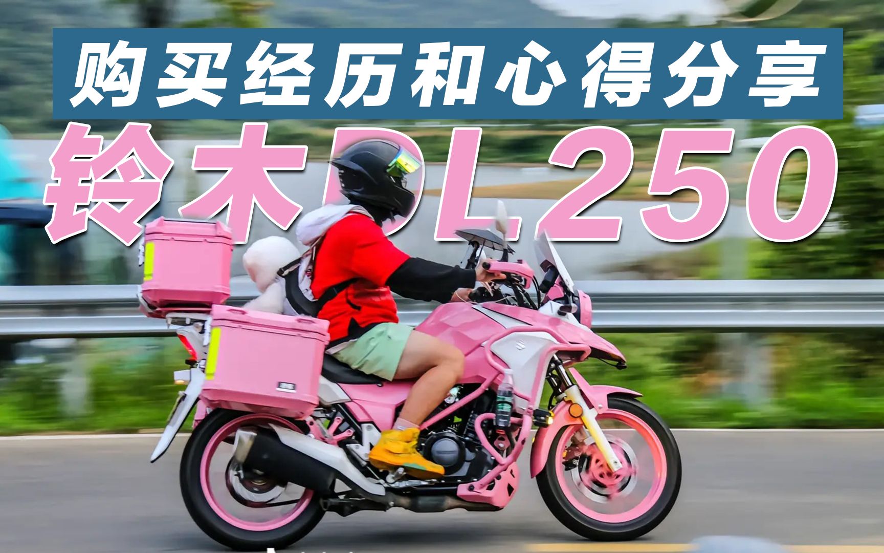 【铃木dl250】购买经历和心得分享 年纪轻轻为什么选择一个老头乐
