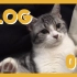vlog002:性感猫咪,在线发牌.