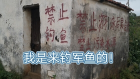 a05227026557bdf909a06d8a1bd8f708a6b9617d.jpg@280w_158h_1c_100q.jpg