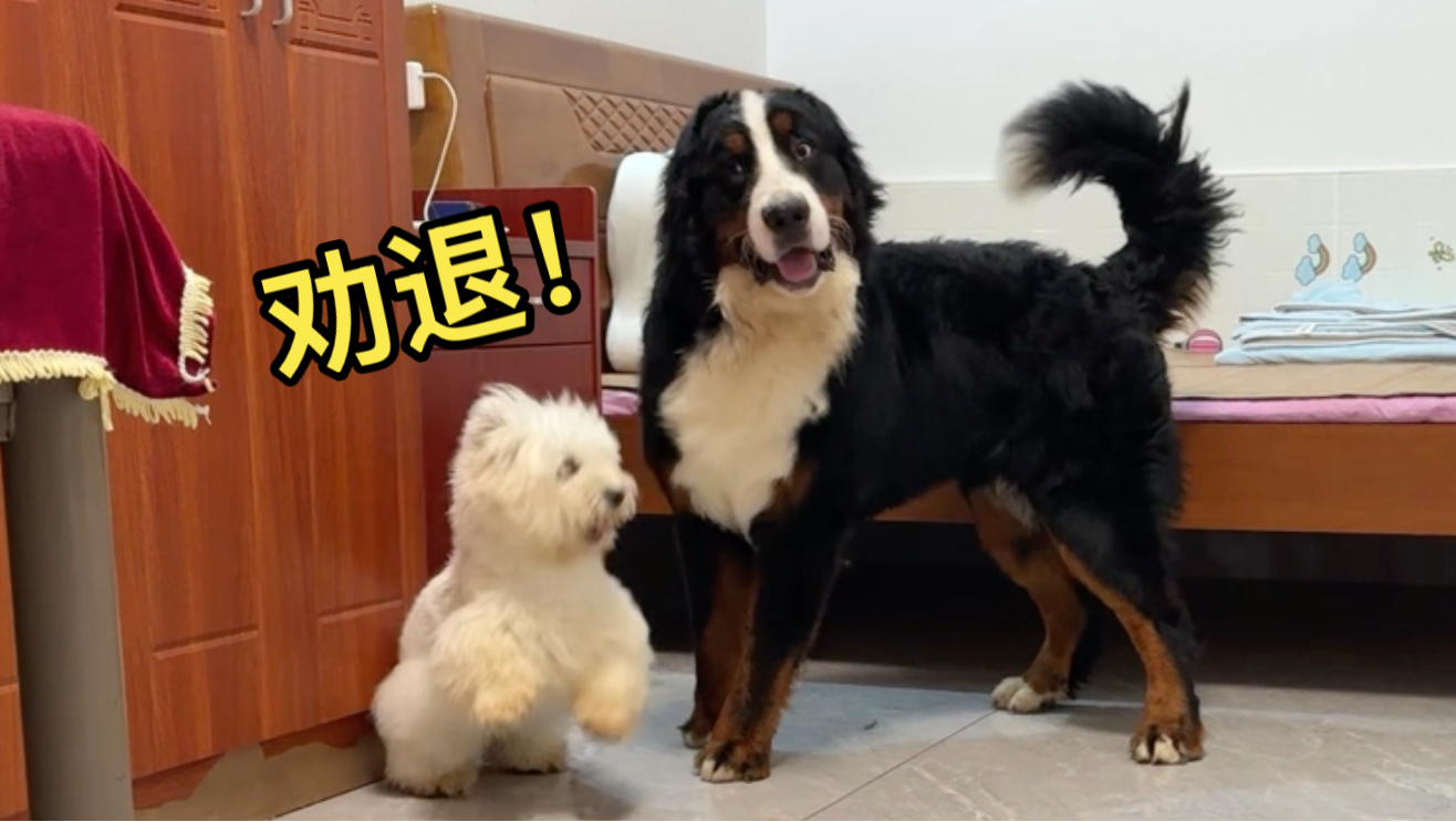 《伯恩山劝退指南》