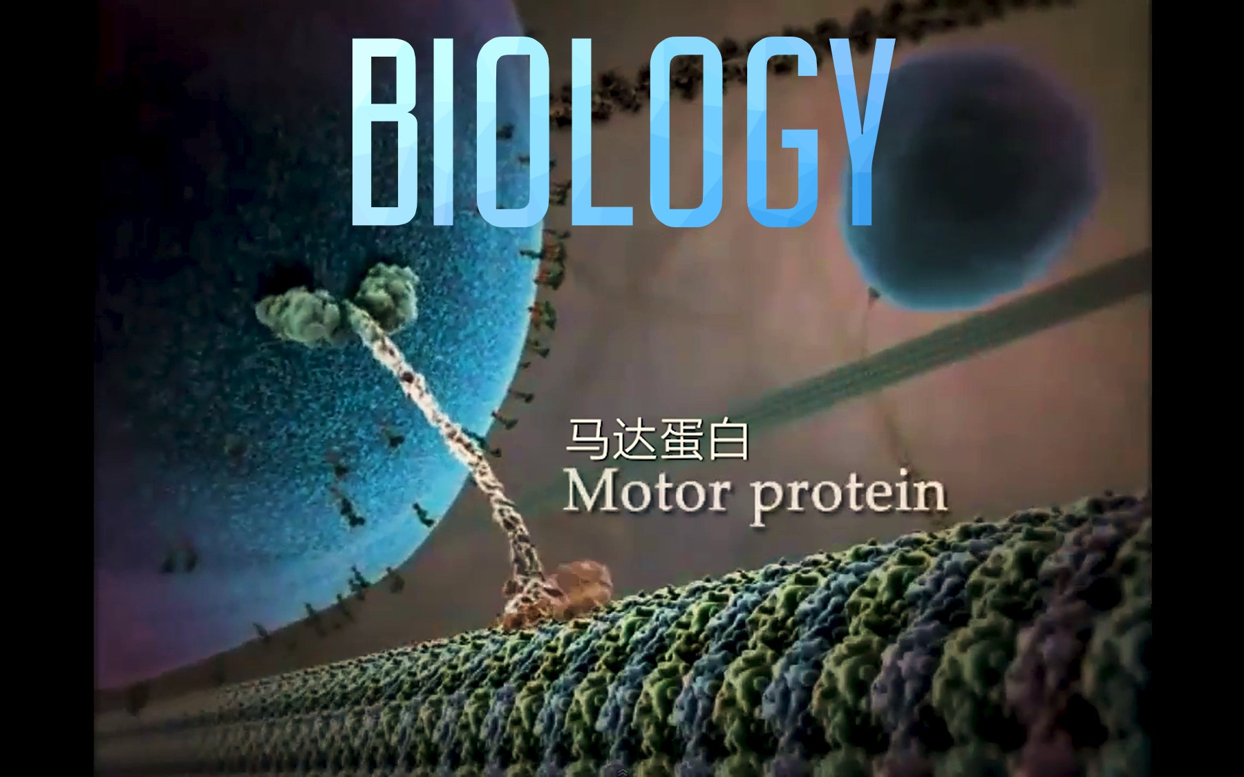 Thecell Thecell