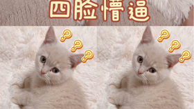 a065af38a5bf95e3accee9aa2c2035ea8729da09.jpg@280w_158h_1c_100q.jpg