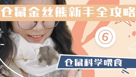 金丝熊仓鼠粮 a068c8d2864d8bf28073625079ccaf0182174d12.jpg@280w_158h_1c_100q.jpg