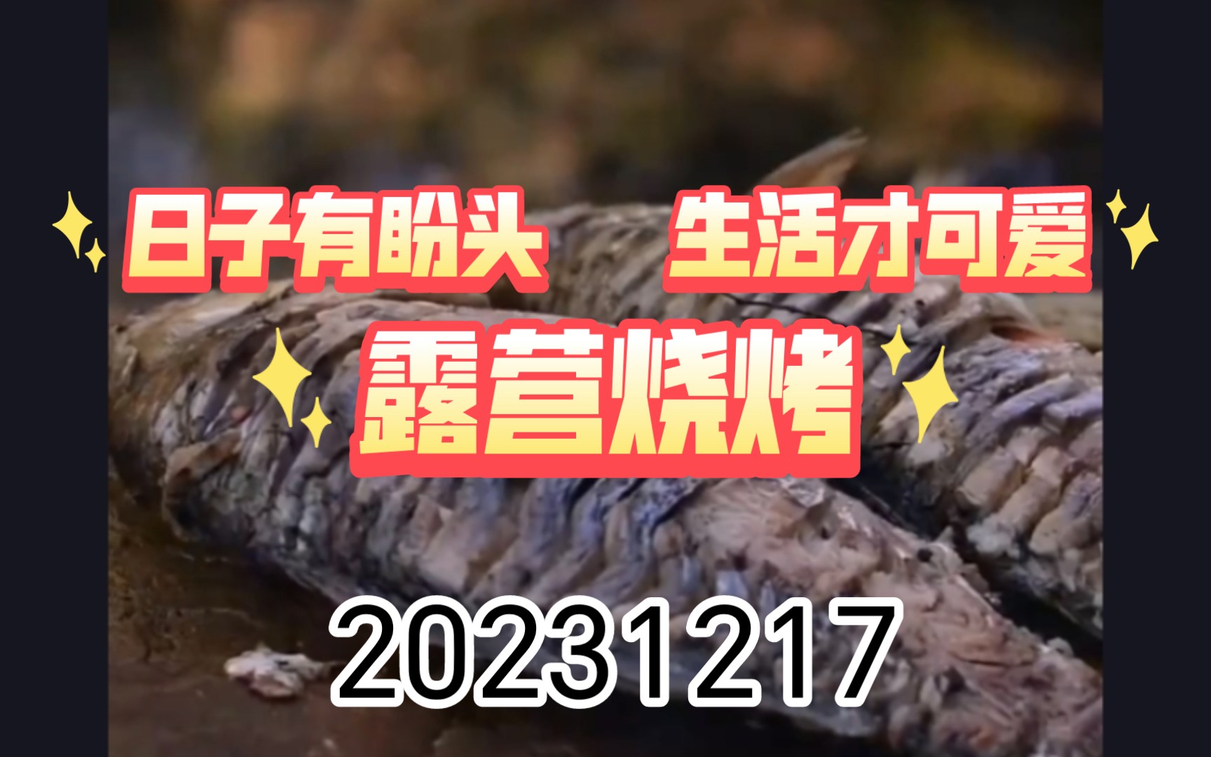 20231217【露营的生活美好】露营烧烤