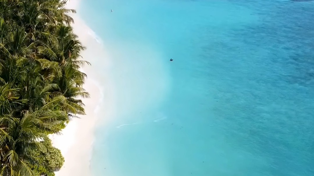 这是美丽的马尔代夫本地岛屿 Thoddoo