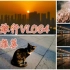 武汉游|当地人都去的粮道街小吃绝了 夜晚的长江边太舒适了嗲
