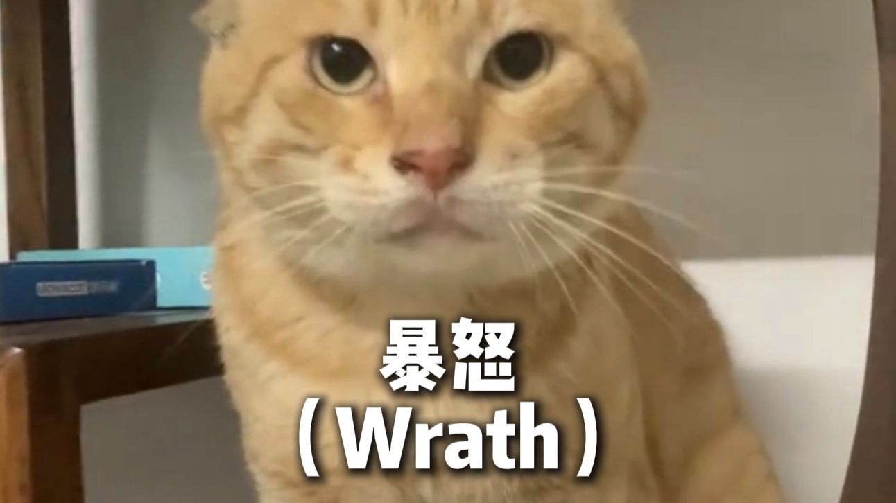 《猫界七宗罪》
